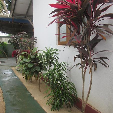 טנגלה Julie Guest House מראה חיצוני תמונה