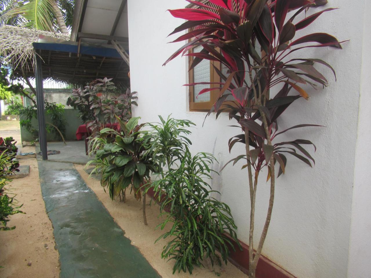 טנגלה Julie Guest House מראה חיצוני תמונה