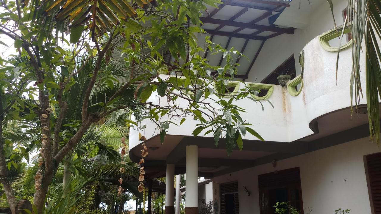 טנגלה Julie Guest House מראה חיצוני תמונה